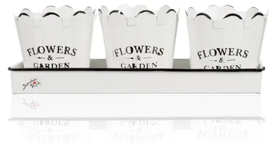 Produktbild von FLOWERS & GARDEN Set aus 3 Übertöpfen und einer Schale aus Metall