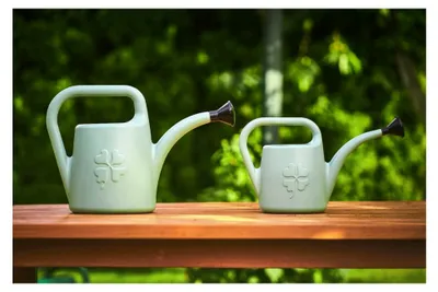 Produktbild von Kleine Gießkanne mit Brause, aus Kunststoff, 1,8 Liter Volumen, zur Pflege und Bewässerung von Pflanzen in der Wohnung, auf dem Balkon und im Garten