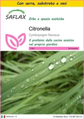 Immagine prodotto di SAFLAX Insieme di coltivazione - Citronella - 50 semi - Cymbopogon