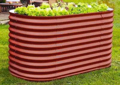 A raised garden bed filled with lettuce, placed on a lawn.