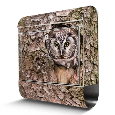 A mailbox designed to look like a tree trunk with an owl peeking out of a hole.