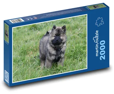 Obrázek produktu pro martinpuzzle - Puzzle 2000 - Pes - Eurasier