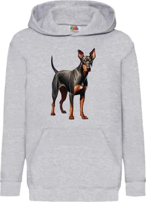 Obrázok produktu pre Detská Mikina S Kapucňou Dogs Breeds Doberman Pinscher Dog Breed 006, 12-13 Jahr - 152 / Heather šedá