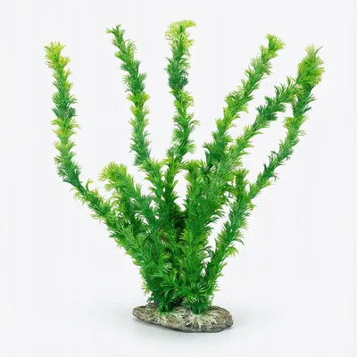 Produktbild von Aquarium Kunstpflanze mit Stein, künstliche Aquarium Deko Pflanze für Süßwasser, 33 x 20 cm, naturgetreue Optik