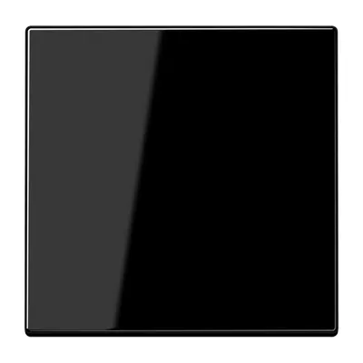 Obrázok produktu pre JUNG LS1700SW LS1700SW Steuertaste Standard (LS1700SW)