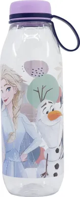 Obrázek produktu pro ECOZEN Láhev na vodu ADVENTURE 650ml FROZEN
