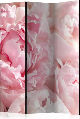 Produktbild von 3-teiliger Doppelseitiger Vlies Paravent - Sweet Peonies 135x172 cm Blumen b-B-0389-z-b