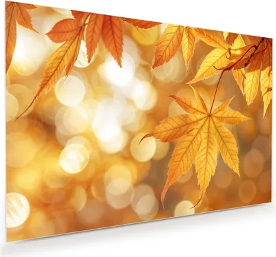 Produktbild von Glasbild 90x60cm in XXL für Wohnzimmer, Schlafzimmer Motiv Herbstlich Glitzernd