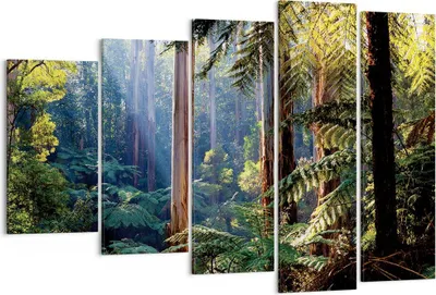 Produktbild von Bild auf Leinwand - Leinwandbild - 5 Teile - Morgendämmerung Bäume Wald - 150x100cm - Wand Bild - Wanddeko - Wandbilder - Leinwanddruck - Bilder - Wanddekoration - Leinwand bilder - EG150x100-4403