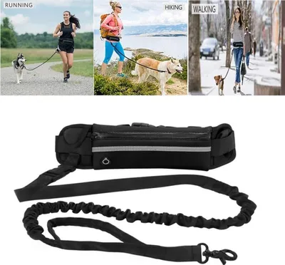 Produktbild von Jogginggürtel Freihändige Hundelaufleine mit Reißverschlusstasche, elastische Bungees, einziehbares Seil für Mittelgroße und Große Hunde (Schwarz)