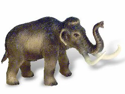 Produktbild von Mamut obří