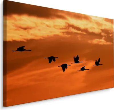 Produktbild von Fabelhafte Canvas LEINWAND BILDER 40x30 cm XXL Kunstdruck Kraniche Sonnenaufgang