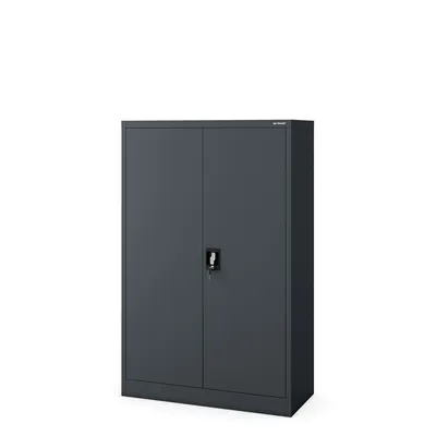 A dark gray metal filing cabinet with two doors and a lock is shown against a white background.