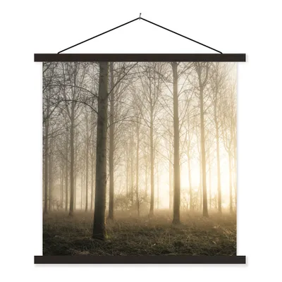 Obrázok produktu pre MuchoWow® Textilný plagát - Les - slnko - hmla - 120x120cm - S čiernymi lamelami