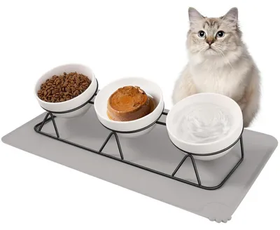 Produktbild von Erhöhter Katzennapf 3er Set Keramik mit Metallhalter und Silikonmatte 15° Neigung