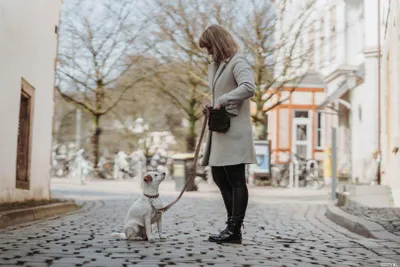 Produktbild von HUNTER Halsung Inari Alu-Strong L, beige