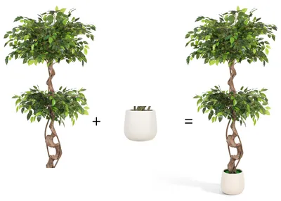 Productafbeelding van Vigevee Kunstplant, kunstmatige ficusboom, 150 cm hoog, in een witte pot, met groene bladeren