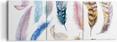 Produktbild von Bild auf Leinwand - Leinwandbild - Federn Vögel Tiere Komposition - 120x40cm - Wand Bild - Wanddeko - Leinwanddruck - Bilder - Kunstdruck - Wanddekoration - Leinwand bilder - Wandkunst - CA120x40-2894