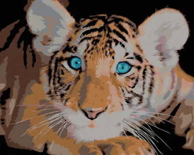 Produktbild von Zuty - Malen nach Zahlen - BLAUÄUGIGER TIGER, 40x50 cm, mit Keilrahmen (bereits gespannt)