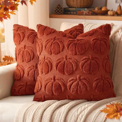 Image de Lot de 2 housses de coussin décoratives, 45x45 cm, pour l'automne