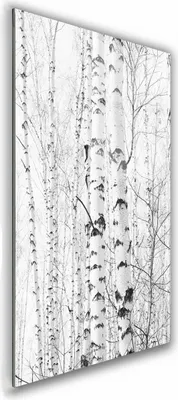 Zdjęcie produktu dla OBRAZ NA SZKLE PROSTOKĄTNY 70x100cm 011 Brzozy