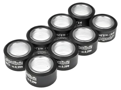 Produktbild von Variomatikgewichte Polini Variorollen 20 x 12 mm 12,0 g 8 Stück für Variomatik