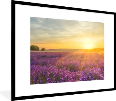 Produktbild von MuchoWow® Gerahmtes Poster Lavendel - Sonnenuntergang - Bäume - Lila 80x60 cm - Poster mit Schwarzem Bilderrahmen Wandposter Rahmen Foto Bilder - Schlafzimmer-Dekorationen - Fotoposter