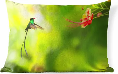 Produktbild von MuchoWow® Outdoor Kissen - Vogel - Kolibri - Grün - 50x30 cm - Wetterfest - Lounge Kissen - Sofa kissen - Wohnzimmer Dekoration
