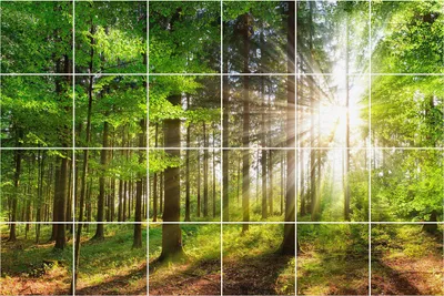 Produktbild von Fliesenaufkleber 10×10 cm – 24 Stück – Selbstklebend – Wasserfest – Pflegeleicht – Hitzebeständig – Für Küche & Bad – Sonnenstrahlen im Wald