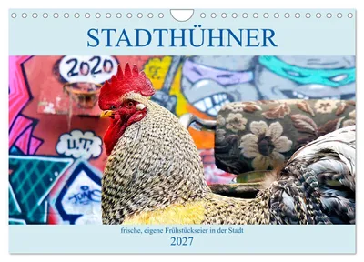 Produktbild von Stadthühner (Wandkalender 2027 DIN A4 quer), CALVENDO Monatskalender