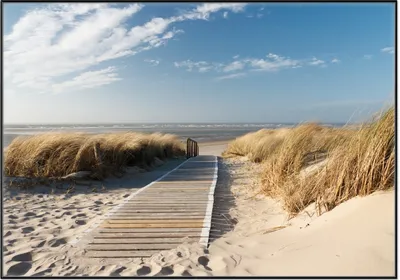 Produktbild von Wallario Wandbild Auf dem Holzweg zum Strand, Größe: 70,30 x 100,30 cm, Poster mit schwarzem Aluminiumrahmen