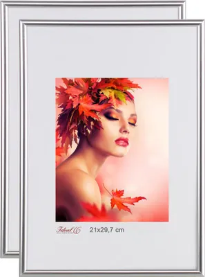 Produktbild von 2er 3er 5er Pack Bilderrahmen Kunststoff Lifestyle Foto Rahmen Collage KYOTO - Farbe: 2er Pack Silber | Format: 50x70