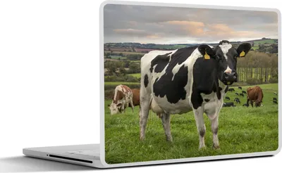 Produktbild von MuchoWow® Laptop Aufkleber Sticker Cover Kuh - Berg - Gras - Tiere 36.5x27.5 cm - Laptop-Sticker