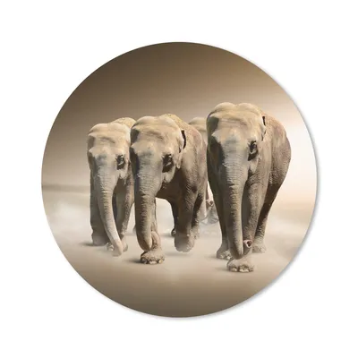 Produktbild von MuchoWow® Mauspad Mousepad Elefant - Nebel - Landschaft 20x20 cm - Mousepads - Maus Mat - Pad - Mausunterlage - Schreibtischmatte