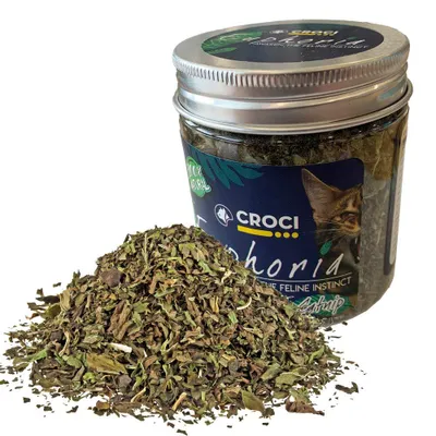 Image de Pot d'herbe à chat Croci Euphoria