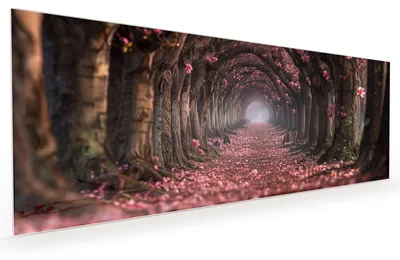 Produktbild von Küchenrückwand Spritzschutz Glas mit Motiv Blütenweg 40 x 40 cm