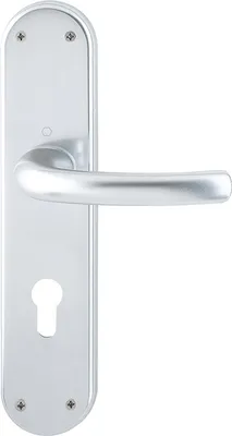 A silver door handle with a keyhole plate, photographed against a white background.