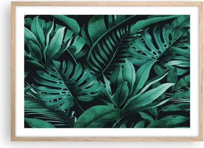 Produktbild von Gerahmtes Poster - Rahmen in heller Eiche - Blätter Grafiken Monstera - 70x50 cm - Wand Bild - Wanddeko - Wandbilder - Kunstposter - Wandposter - Bilderrahmen - Bilder - Kunstdruck - P2NAA70x50-4886