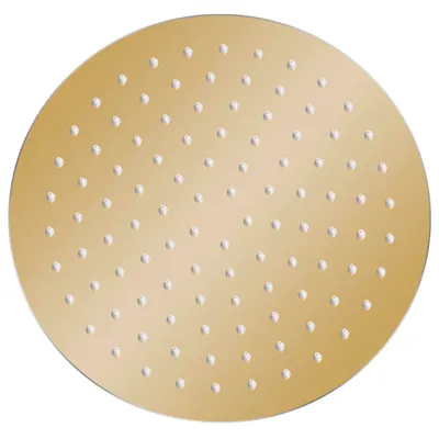 Produktbild von vidaXL Regenbrause Edelstahl 25 cm Rund Golden