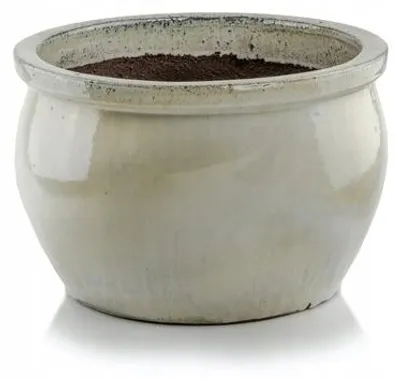 Produktbild von Polnix Glasiertes Garten Pflanzgefäß 36x22 cm Cremefarben