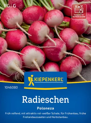 Produktbild von Kiepenkerl Radieschensamen Poloneza Raphanus sativus sativus 8-10 lfd. Meter