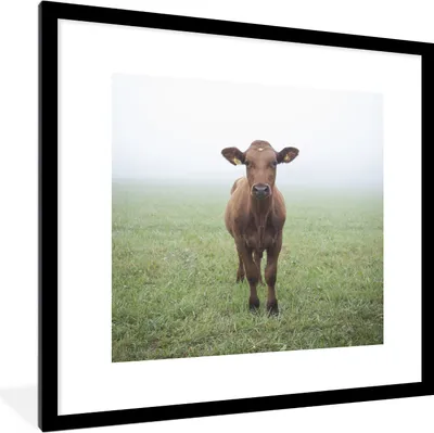 Produktbild von MuchoWow® Gerahmtes Poster Kuh - Nebel - Gras 40x40 cm - Poster mit Schwarzem Bilderrahmen Wandposter Rahmen Foto Bilder - Poster - Plakat im Rahmen
