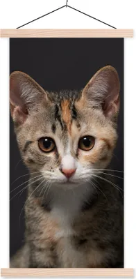 Produktbild von MuchoWow® Textilposter Katze - Schwarz - Porträt 40x80 cm mit holzfarbenen Rahmen - Wohnzimmer