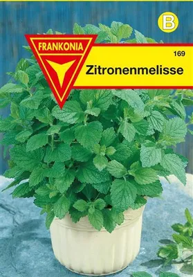 Produktbild von Zitronenmelisse