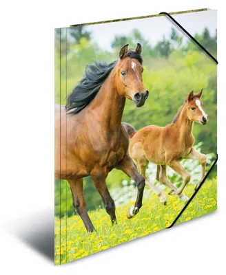 Obrázek produktu pro HERMA 7140 - A4 - polypropylen (PP) - vícebarevný - na výšku - elastická páska - 1 ks
