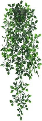 Imagen del producto de Planta colgante con hojas de mandala de aspecto realista, lista para decorar