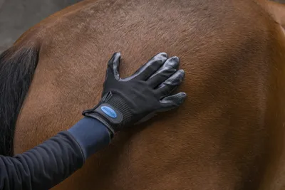 Produktbild von Ekkia HIPPOTONIC Pflegehandschuh, Pro-Fellwechsel, schwarz, Größe:One Size