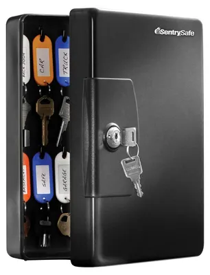 Zdjęcie produktu dla SentrySafe KB25, szafka na klucze z 25 haczykami, kolor czarny