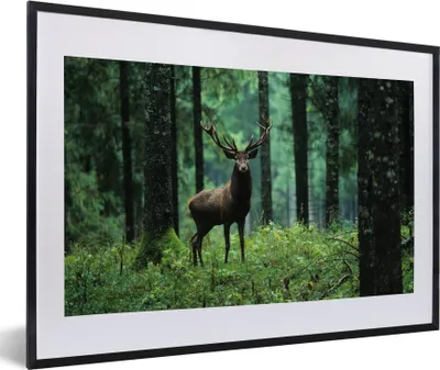 Produktbild von MuchoWow® Gerahmtes Poster Hirsche - Wald - Bäume - Tiere - Natur 60x40 cm - Poster mit Schwarzem Bilderrahmen Wandposter Rahmen Foto Bilder - Schlafzimmer - Plakat in Rahmen - Drucken