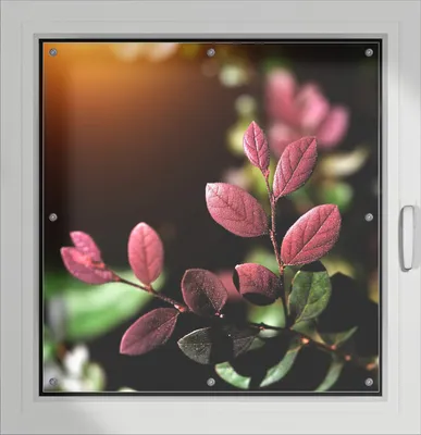 Produktbild von Wallario Lichtschutzbild, Dekorativer Sichtschutz Sonnenschutz 96 x 100 cm mit Motiv: Rote und grüne Blätter an einem Zweig - Verdunklung ohne Bohren
